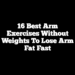 16 Best Arm Exercises Without Weights To Lose Arm Fat Fast