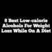 8 Best Low-calorie Alcohols For Weight Loss While On A Diet