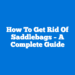 How To Get Rid Of Saddlebags – A Complete Guide