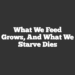 What We Feed Grows, And What We Starve Dies