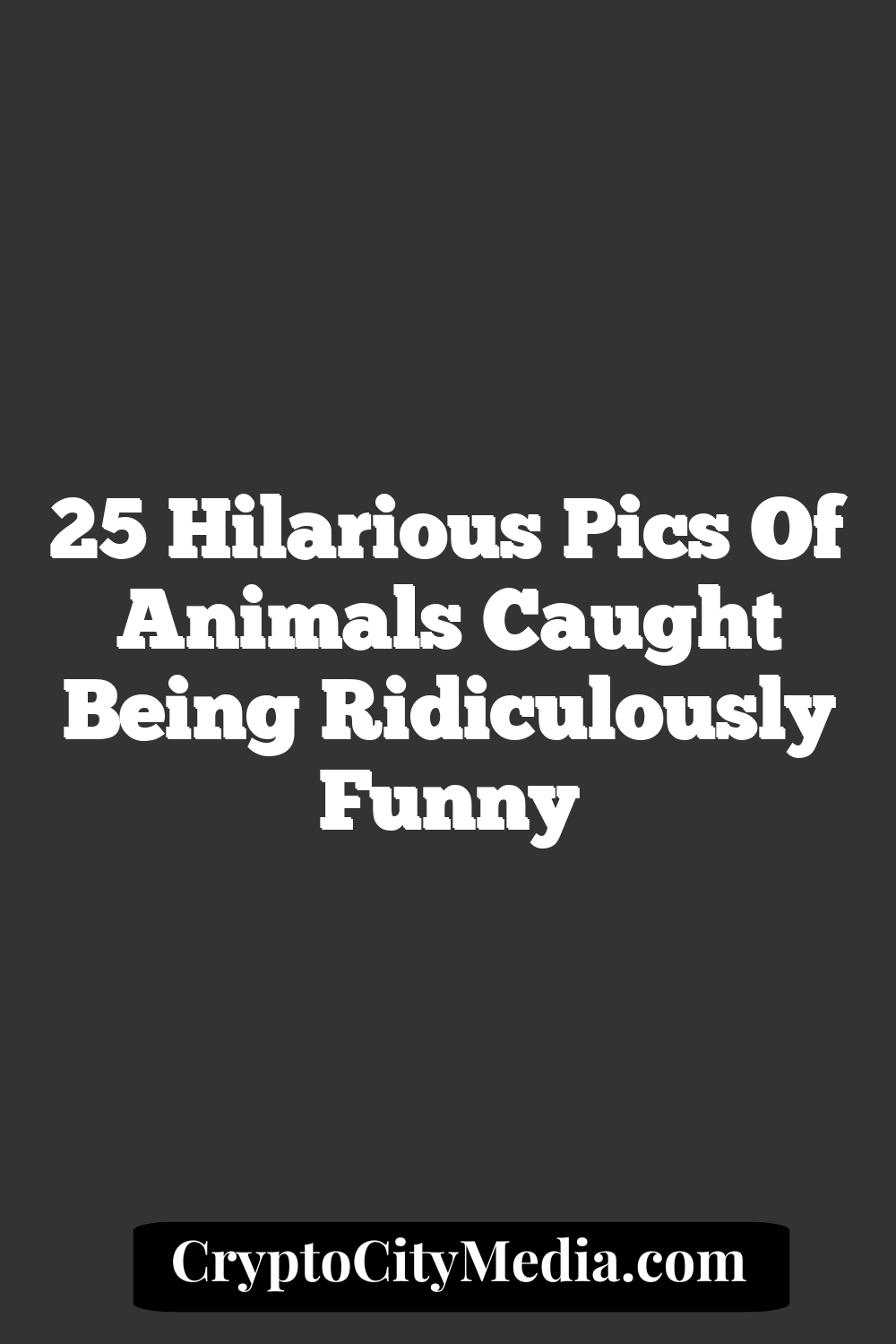 25 Hilarious Pics Of Animals Caught Being Ridiculously Funny